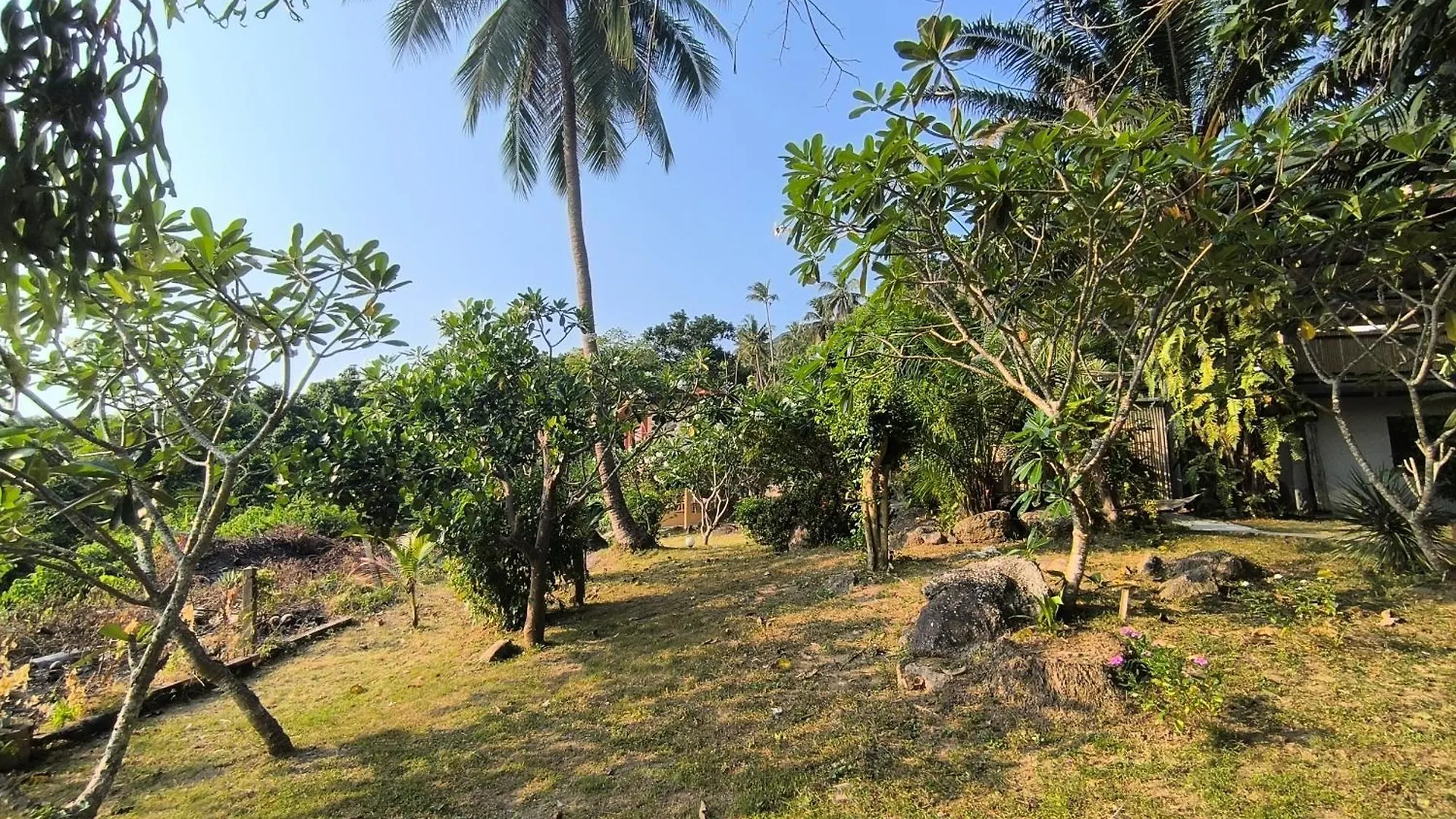 Sairee View Resort Koh Tao